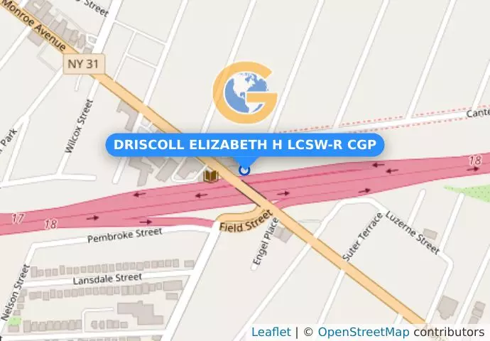 DRISCOLL ELIZABETH H LCSW-R CGP