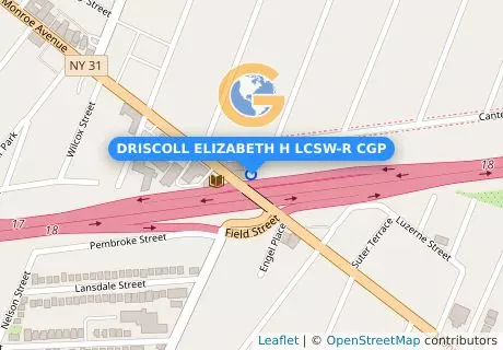 DRISCOLL ELIZABETH H LCSW-R CGP