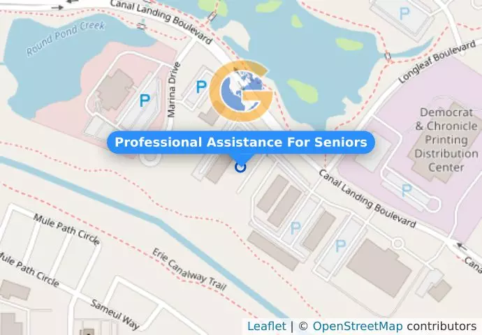 Professional Assistance For Seniors