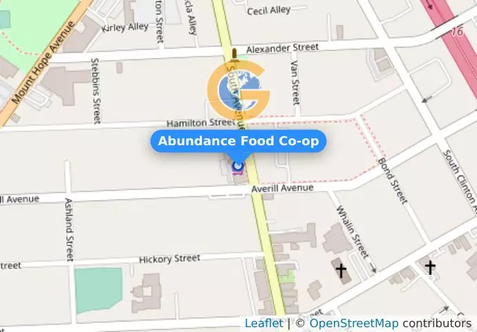 Abundance Food Co-op