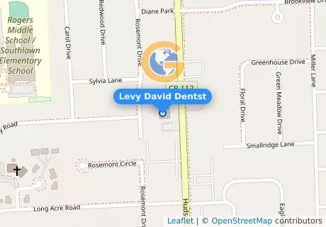 Levy David Dentst