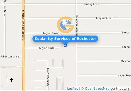 Koala- Ity Services of Rochester